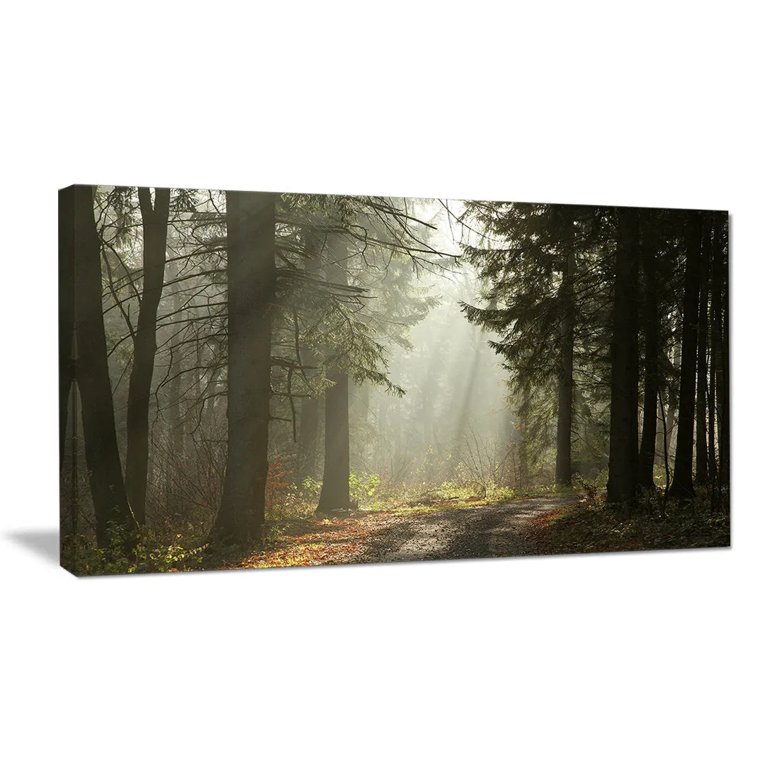 Dark Green Forest with Sun Rays - Photograph Print on Canvas Design Art Size: 16" H x 32" W x 1" D