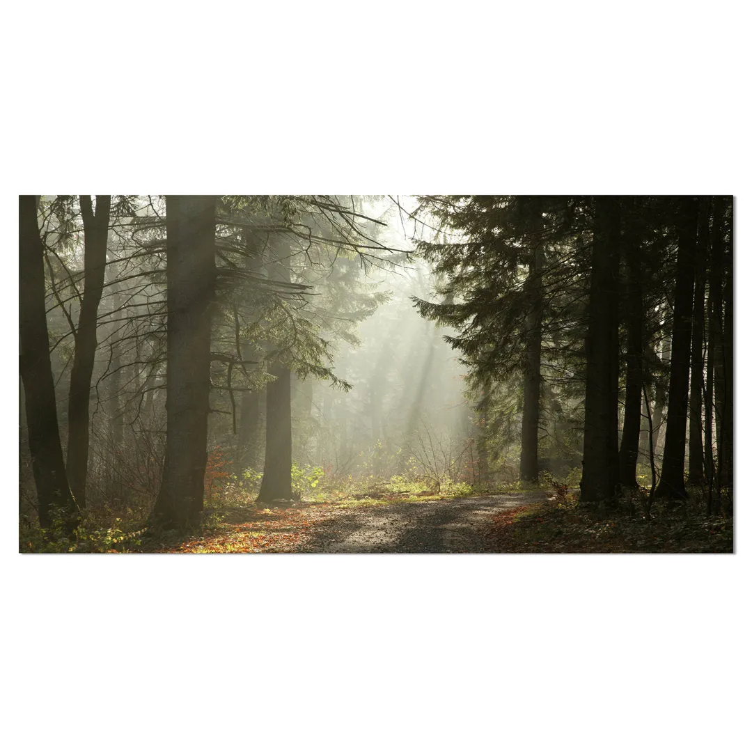 Dark Green Forest with Sun Rays - Photograph Print on Canvas Design Art Size: 16" H x 32" W x 1" D