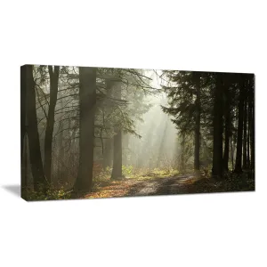 Dark Green Forest with Sun Rays - Photograph Print on Canvas Design Art Size: 16" H x 32" W x 1" D