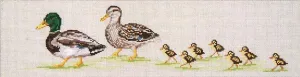 Duck Walk (13M)