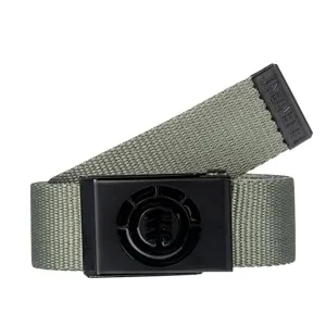 Element Beyond Belt Beetle