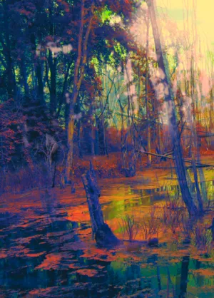 Flux - Digital Fine Art Print by Nancy Tobin