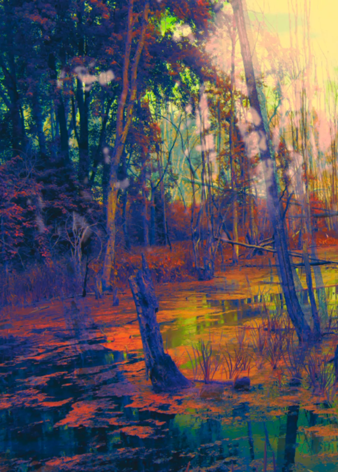 Flux - Digital Fine Art Print by Nancy Tobin