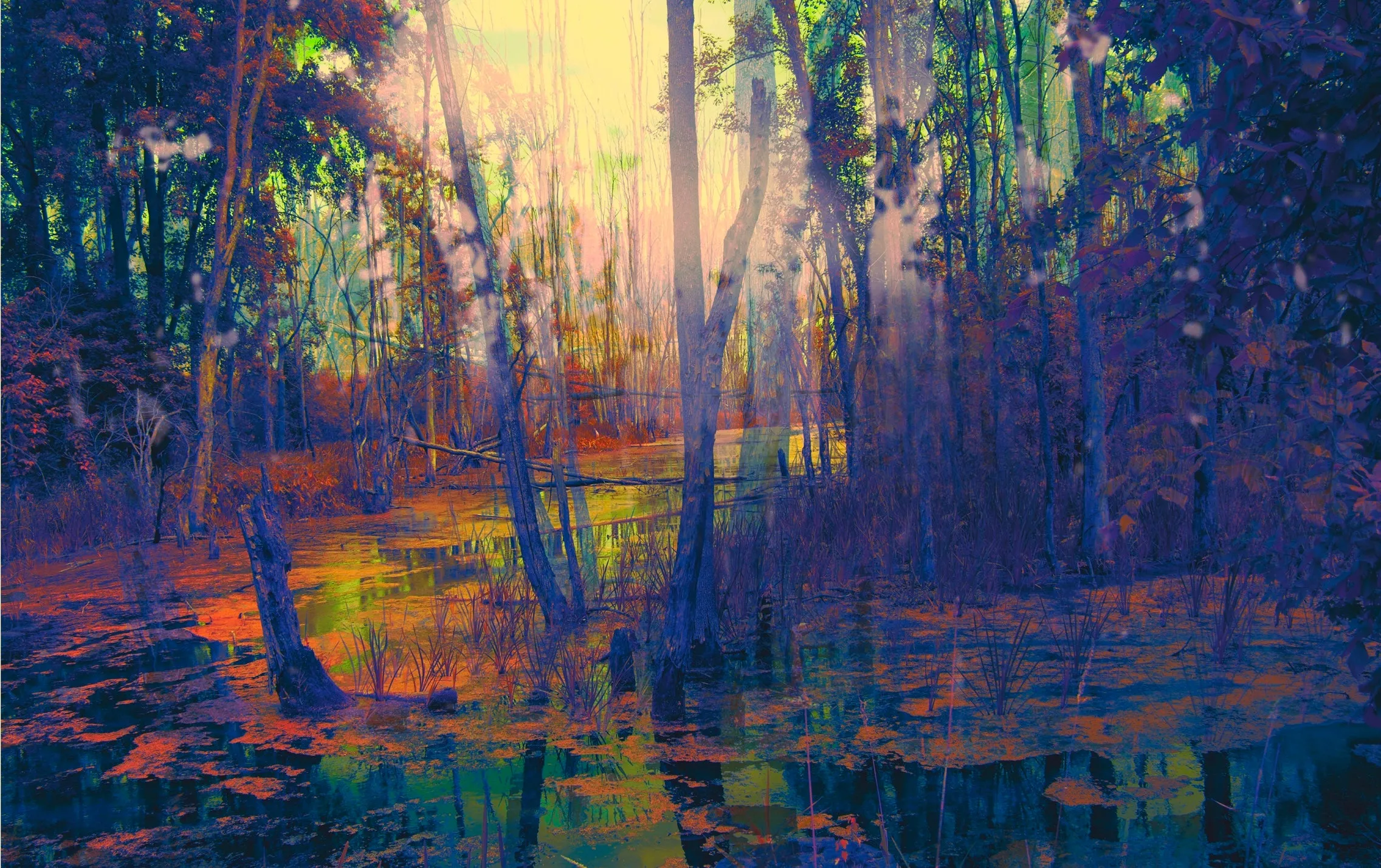 Flux - Digital Fine Art Print by Nancy Tobin