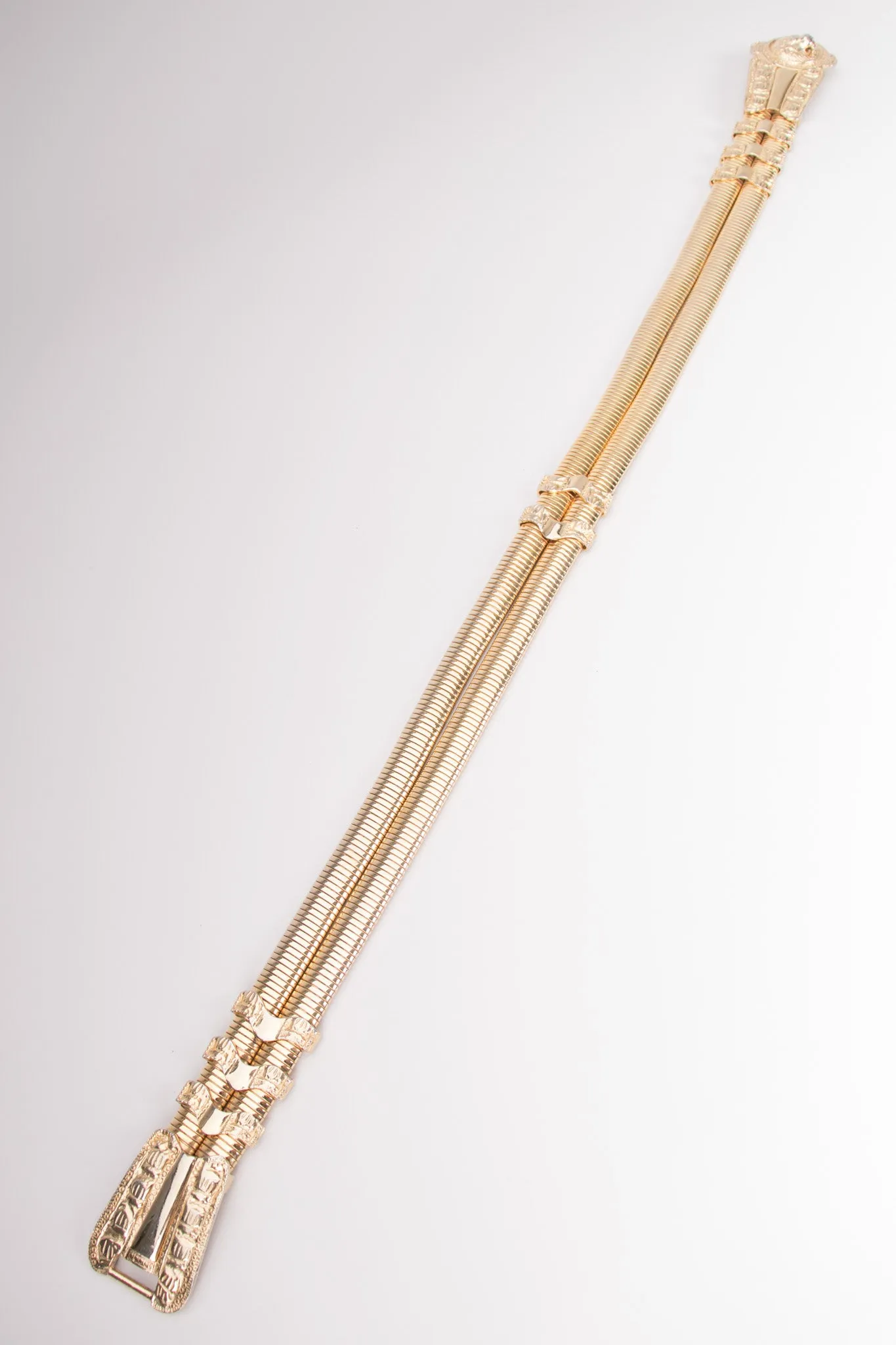 Gold Lion Belt