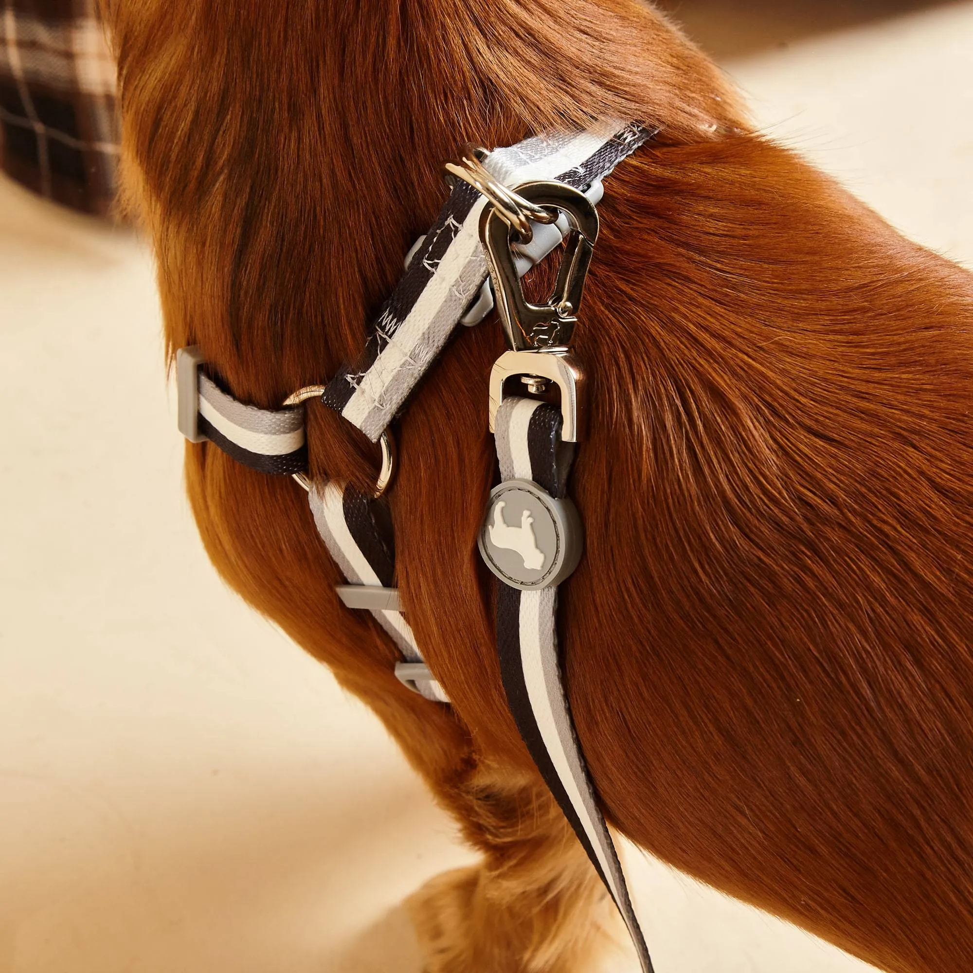 Liquorice Stripe Fabric Dog Harness