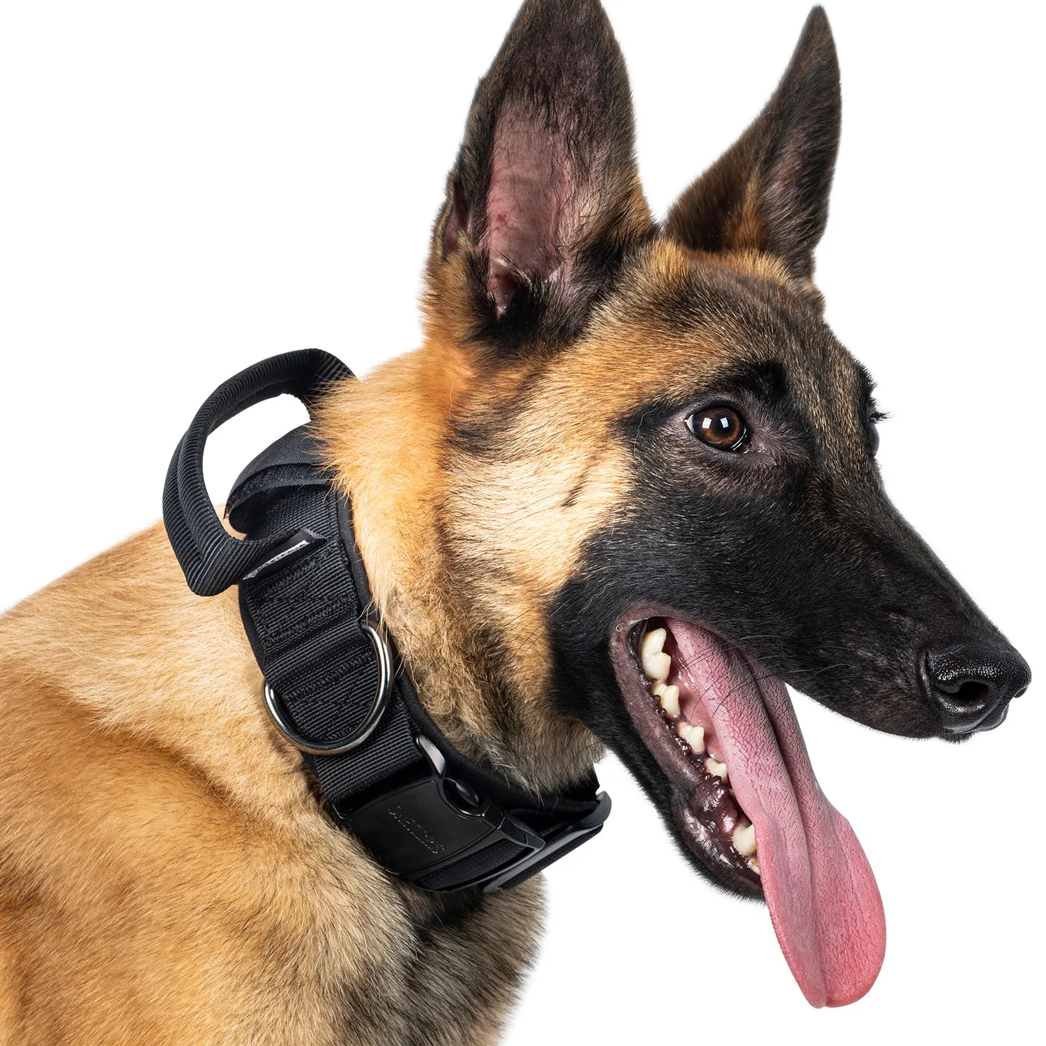 ONETIGRIS Dog Collar 08