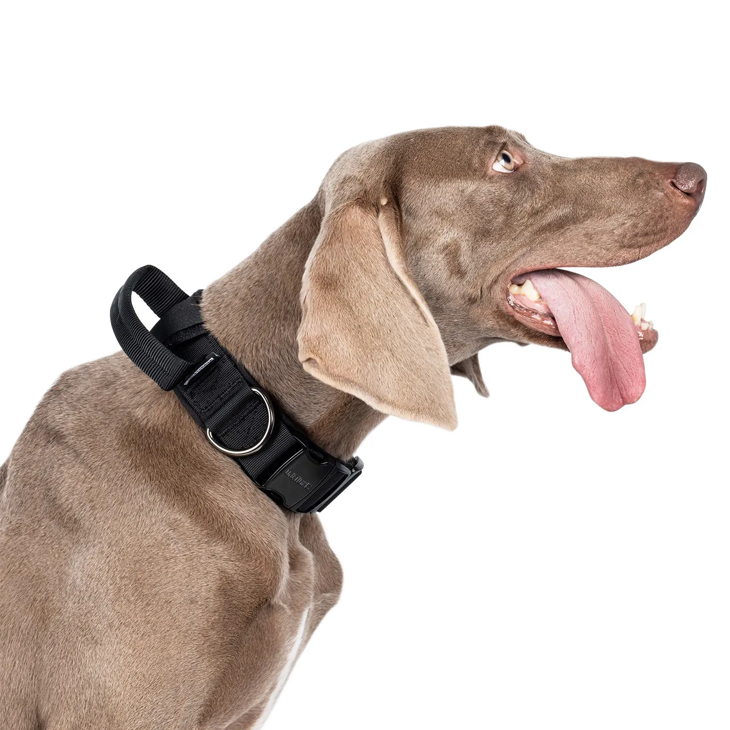 ONETIGRIS Dog Collar 08