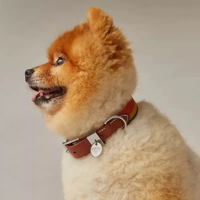 Rocabar Iii Dog Collar