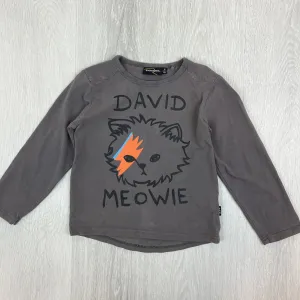 Rock Your Kid David Meowie (Bowie) Kids Grey T-shirt Size 6 Years