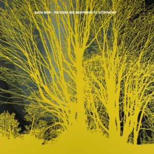 The Stars Are Indifferent to Astronomy CD