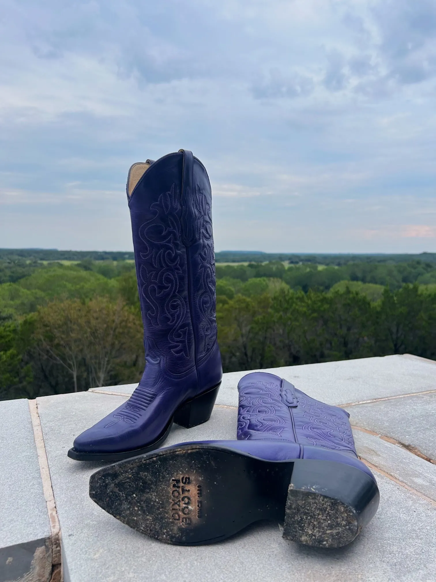 THE VAQUERA IN PURPLE