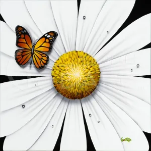 White Flower - Butterfly