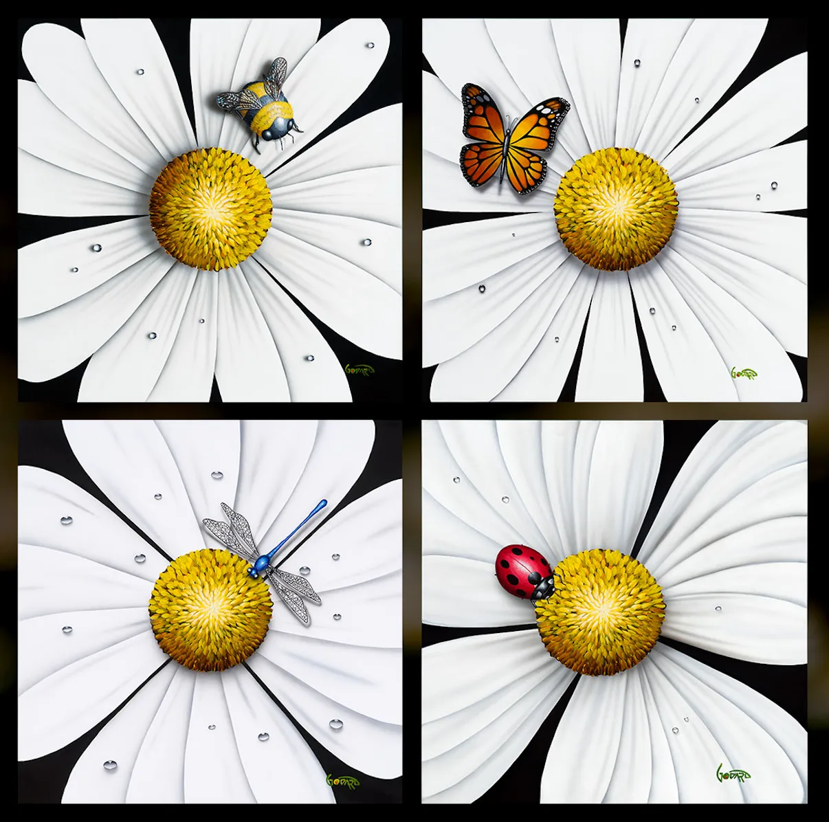 White Flower - Butterfly