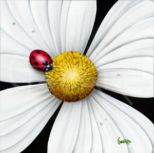 White Flower - Ladybug